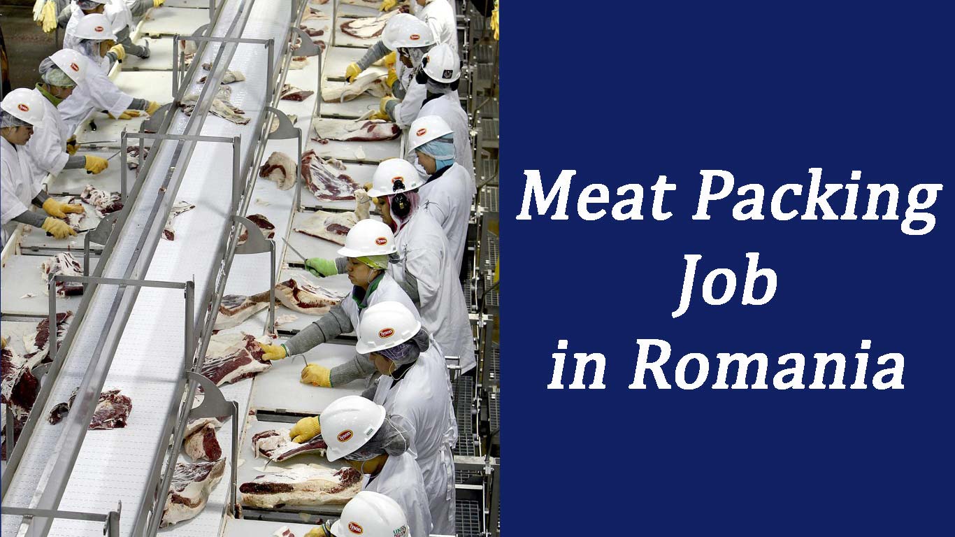 meat packing job in romania